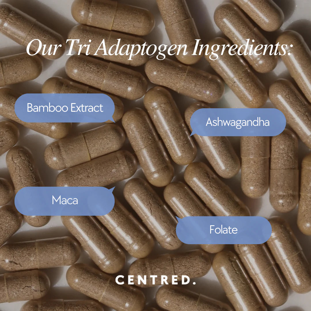 Tender Love and Hair - Menopause Hair Vitamins - Ultimate Balayage