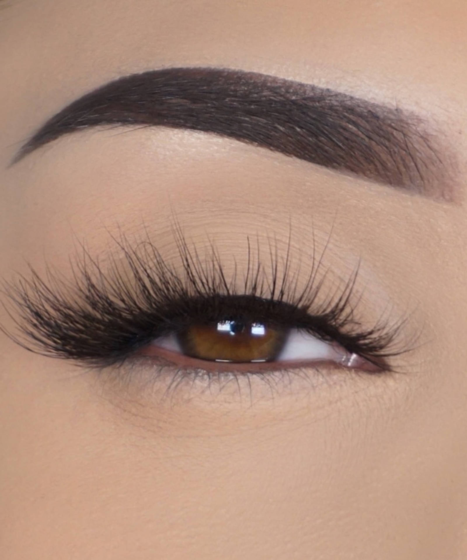 House Lash - Delysia - Ultimate Balayage